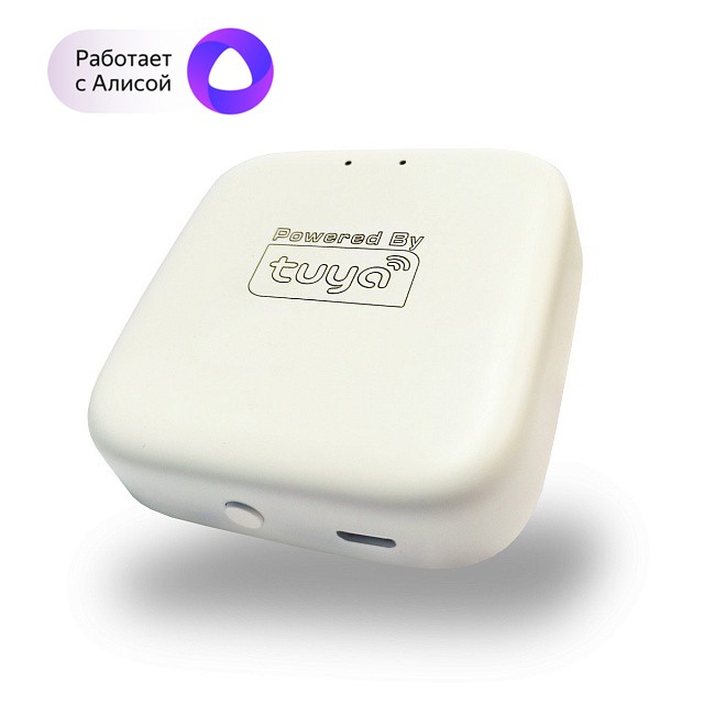 Конвертер DK7400-WF WIFI SMART Denkirs RSP